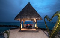   Taj Coral Reef Resort & Spa 5*  10