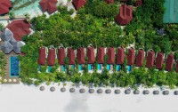   Dhigufaru Island Resort 5*  26