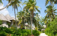   The Nautilus Maldives 5*lux  85