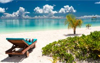   South Palm Resort Maldives 4*  83