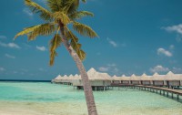   Drift Thelu Veliga Retreat Maldives 4*  40