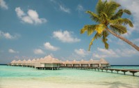   Drift Thelu Veliga Retreat Maldives 4*  35