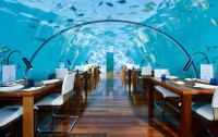   Conrad Maldives Rangali Island 5*lux  96