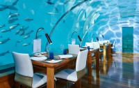   Conrad Maldives Rangali Island 5*lux  95