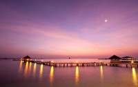   Eriyadu Island Resort 4*  47