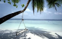   Kurumba Maldives 5*  41