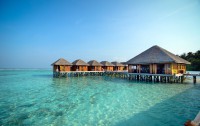   Meeru Island Resort 4*  101