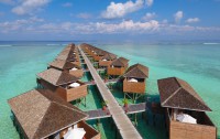   Meeru Island Resort 4*  66