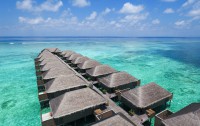   Meeru Island Resort 4*  65