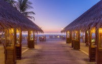   Meeru Island Resort 4*  43