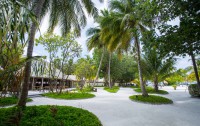   Meeru Island Resort 4*  31