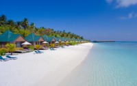   Meeru Island Resort 4*  12