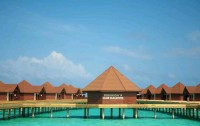   Robinson Club Maldives 4*  12