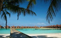   Robinson Club Maldives 4*  9