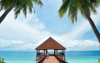   Robinson Club Maldives 4*  14