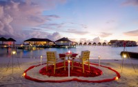   Centara Grand Island Resort & Spa 5*  142