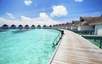   Centara Grand Island Resort & Spa 5*  14