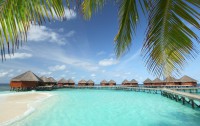   Mirihi Island Resort 5*  35