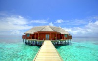 Mirihi Island Resort 5*  3