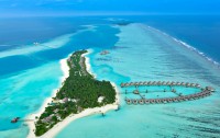   Niyama Maldives 5*  1