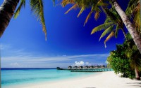   Centara Ras Fushi Resort & Spa 4*  113