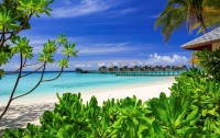   Centara Ras Fushi Resort & Spa 4*  111