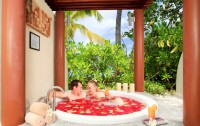   Centara Ras Fushi Resort & Spa 4*  35